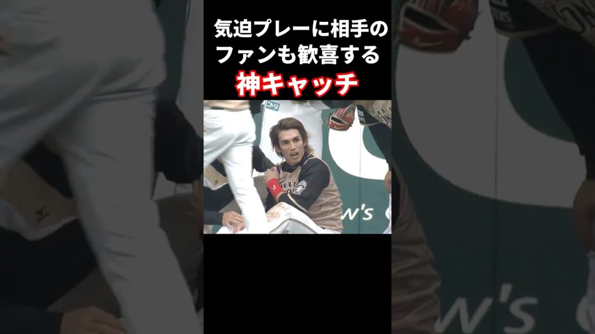 神キャッチを披露する陽岱鋼 #プロ野球
