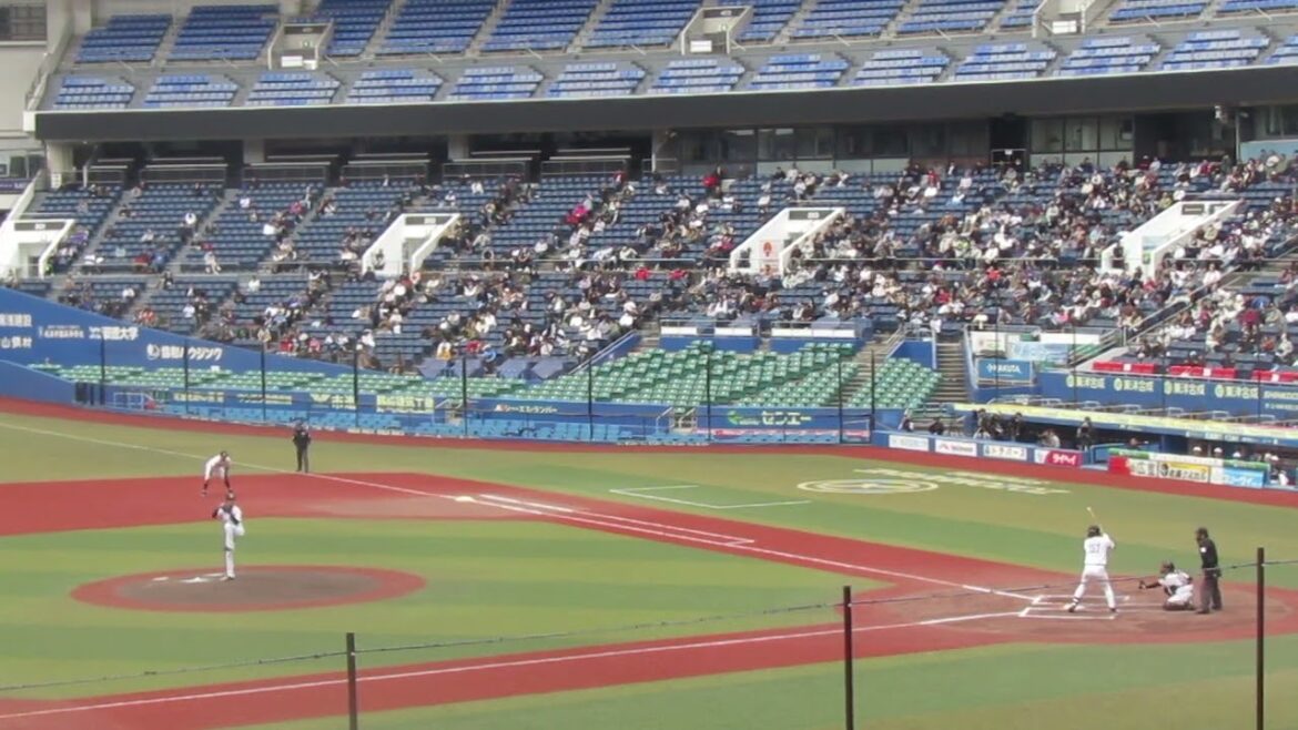 トライアウト〜ソフトバンク小林珠維がフォアボールを選ぶ（2024年11月14日 プロ野球合同トライアウト ）