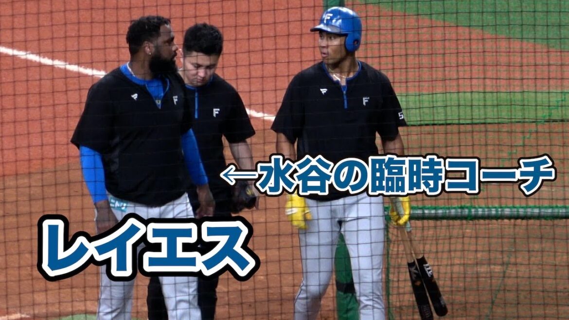 新庄監督「水谷君が今ちょっとあんまりよくないんで、いま絶好調のバッターから言う方が説得力があるじゃないですか。だからお願いして」→レイエスが水谷の臨時コーチをしている様子がこちら