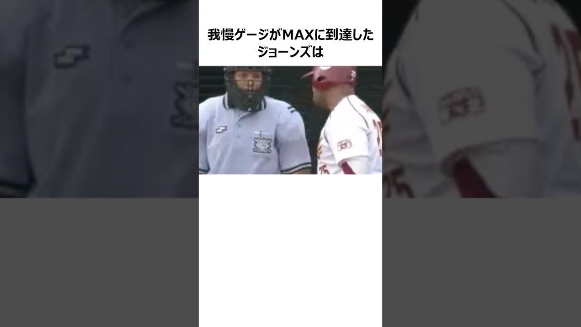 【球審白井】アンドリュー・ジョーンズの天敵に関する雑学