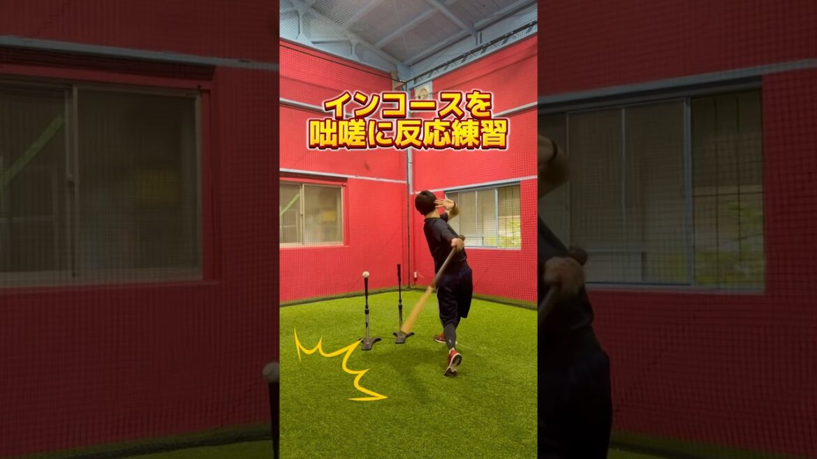インコースを咄嗟に反応練習 #野球 #バッティング