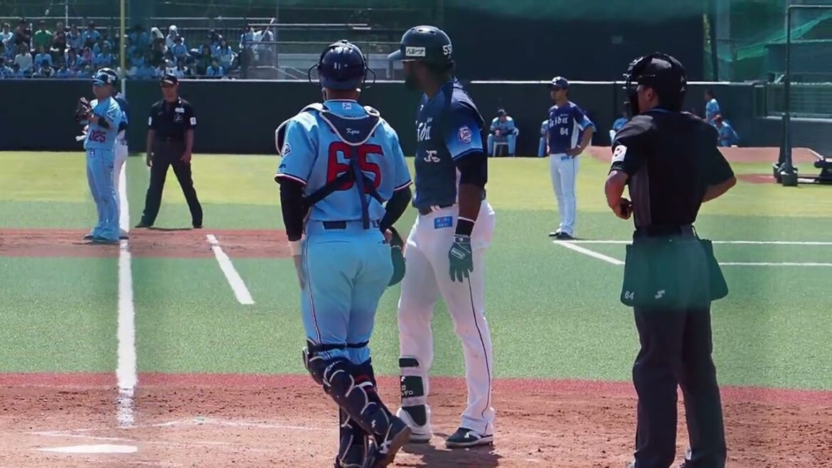 2024.05.25 東京ヤクルト-埼玉西武(ヤクルト戸田) コルデロ 打席シーン