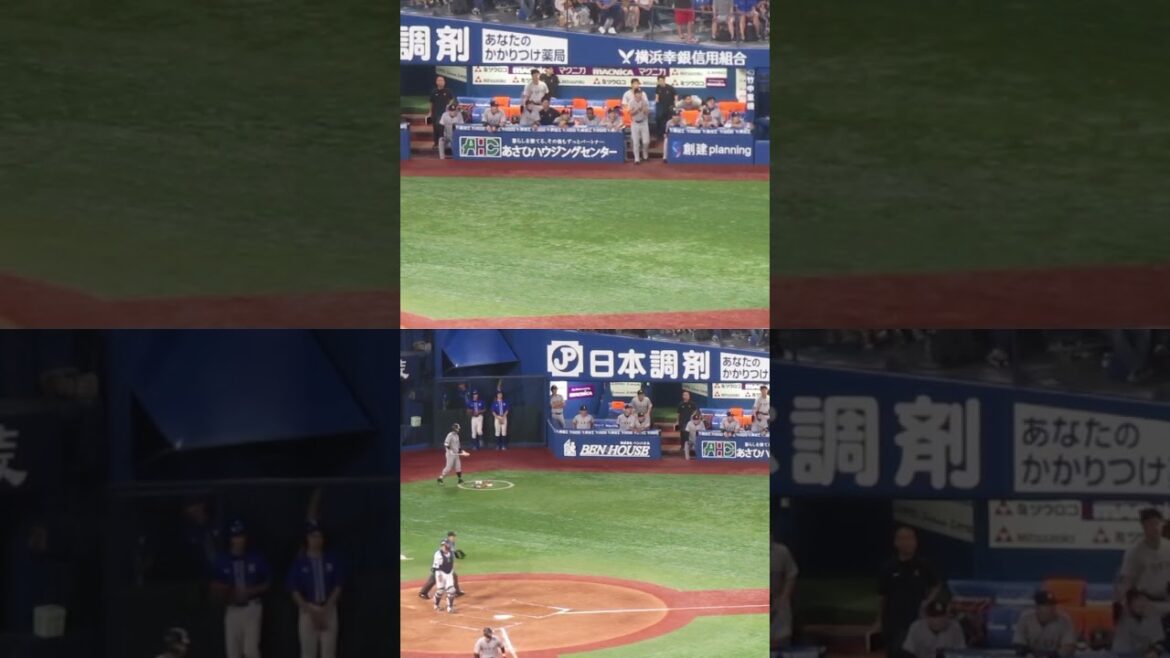 4回 立岡宗一郎のセンター前ヒットに喜ぶ巨人ベンチ（横浜DeNAベイスターズ対 読売ジャイアンツ 2024年6月27日）