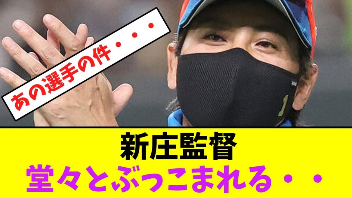 新庄監督、堂々とぶっこまれる・・【なんJなんG】【2ch5ch】
