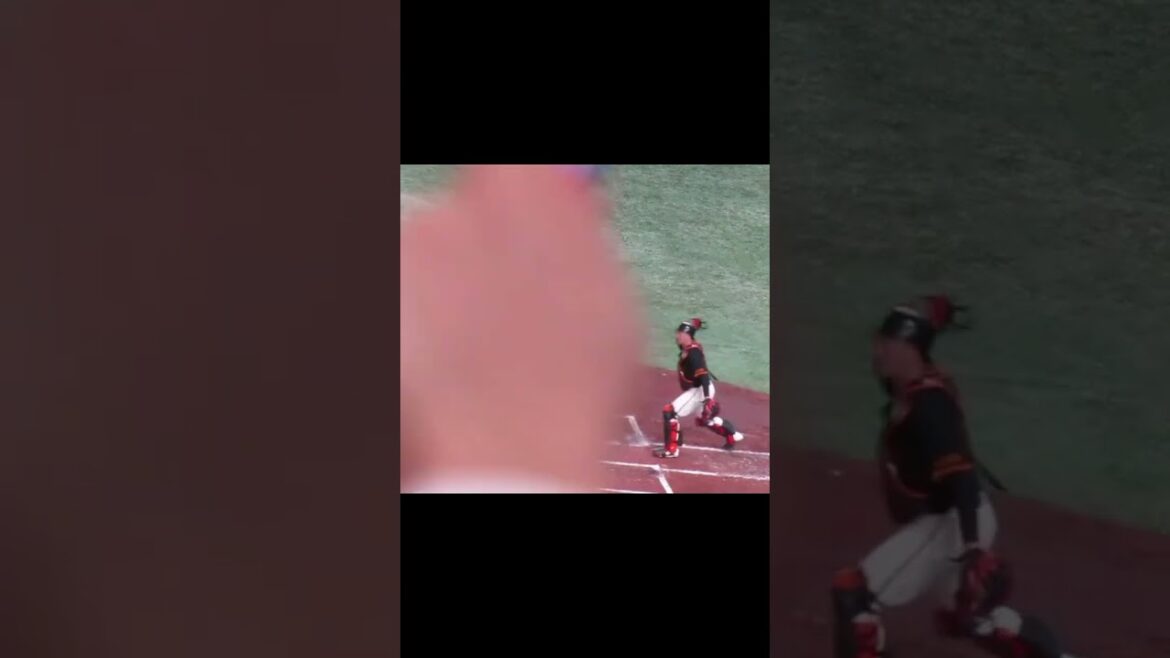 カープ 會澤翼のタイムリーかと思いきや好返球がホームに帰ってくる＜読売ジャイアンツ 対 広島カープ 2024年4月13日＞