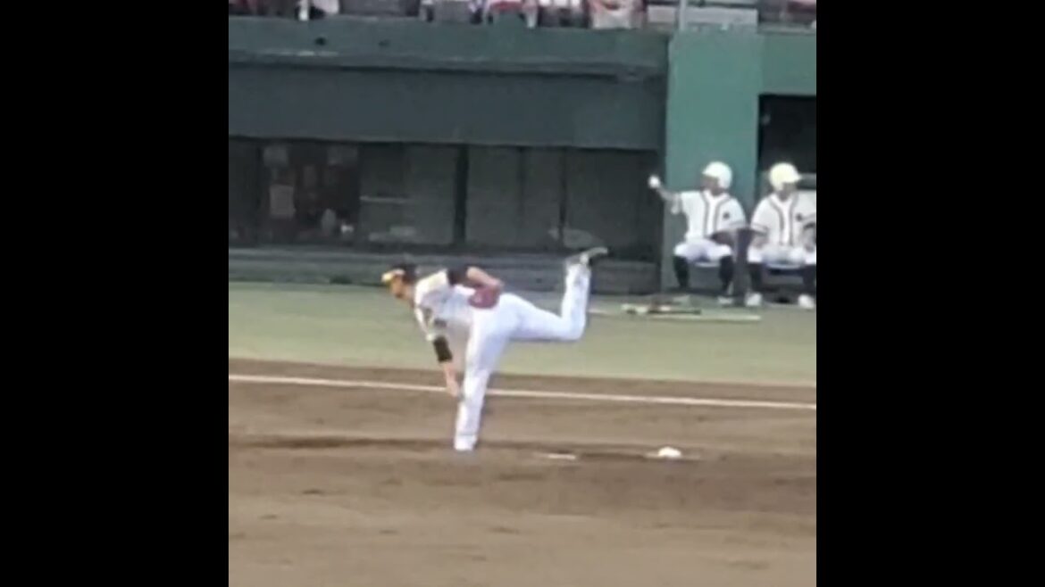 20240726　#西純矢 の投球練習　#shorts　投球ﾌｫｰﾑ@岡山･倉敷ﾏｽｶｯﾄｽﾀｼﾞｱﾑ［ｳｴｽﾀﾝ･ﾘｰｸﾞ 2軍戦］外野ﾗｲﾄ