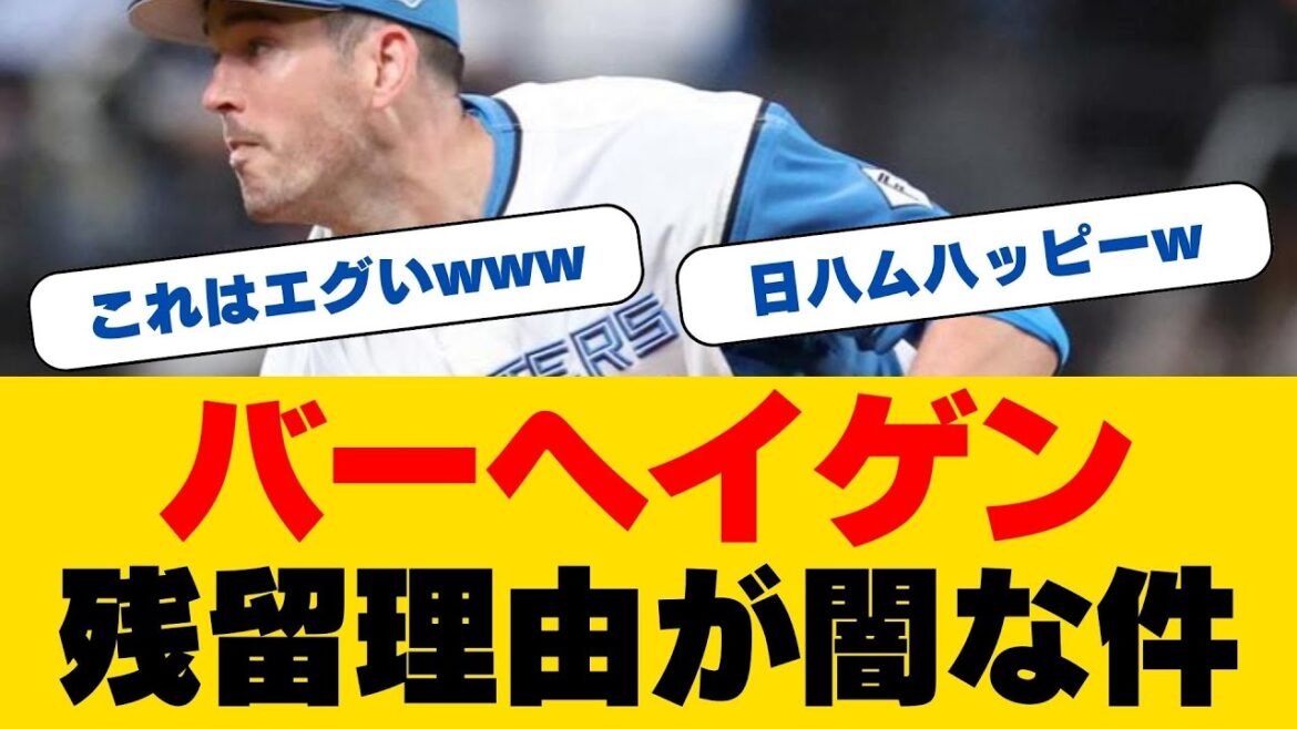 史上最強の先発陣誕生か！？日ハムにバーヘイゲン残留決定！台湾の「火球男」も参加で2024年のローテーションが激アツすぎる！