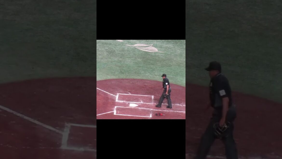 柳裕也の2ストライクからのうまいバント2024年4月25日 読売ジャイアンツ 対 中日ドラゴンズ