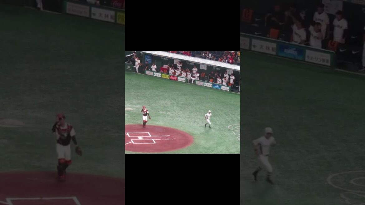 菊池涼介の打球を佐々木俊輔がファインプレーした時に喜ぶジャイアンツベンチの様子（読売ジャイアンツ対 広島カープ 2024年6月29日）