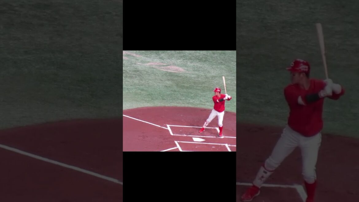 カープ 小園海斗の打撃フォーム＜読売ジャイアンツ 対 広島カープ 2024年4月13日＞