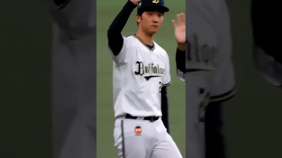 20241124ファンフェス24 #プロ野球 #orixbuffaloes #オリックスバファローズ#田嶋大樹 #小田裕也#安達了一