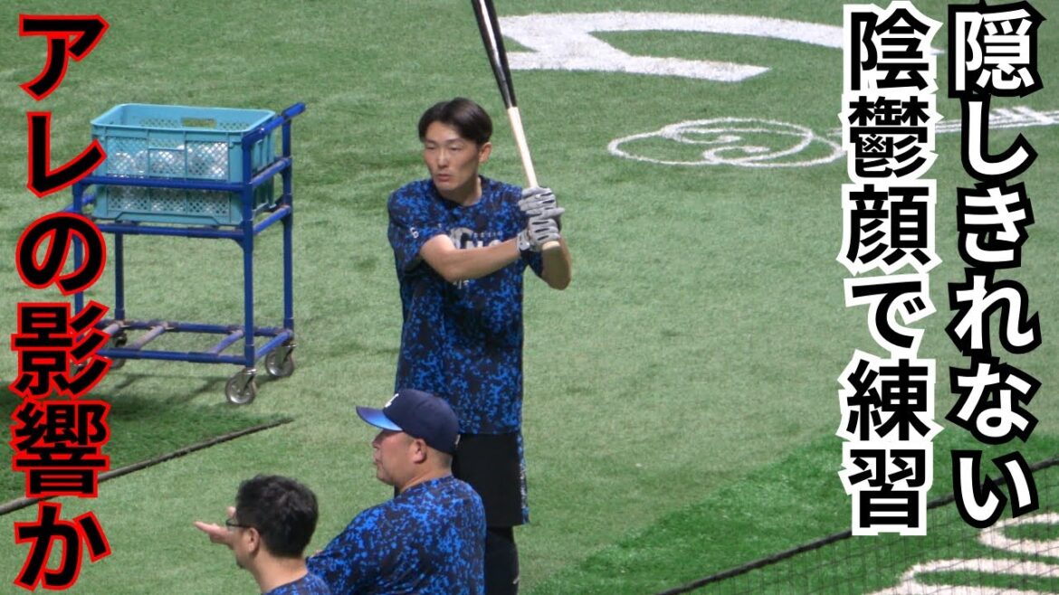 源田壮亮､佐藤龍世､野村大樹のバッティング練習【よく観察すると源田の顔に後ろめたさが現れているようにも見える】西武ライオンズ試合前打撃練習
