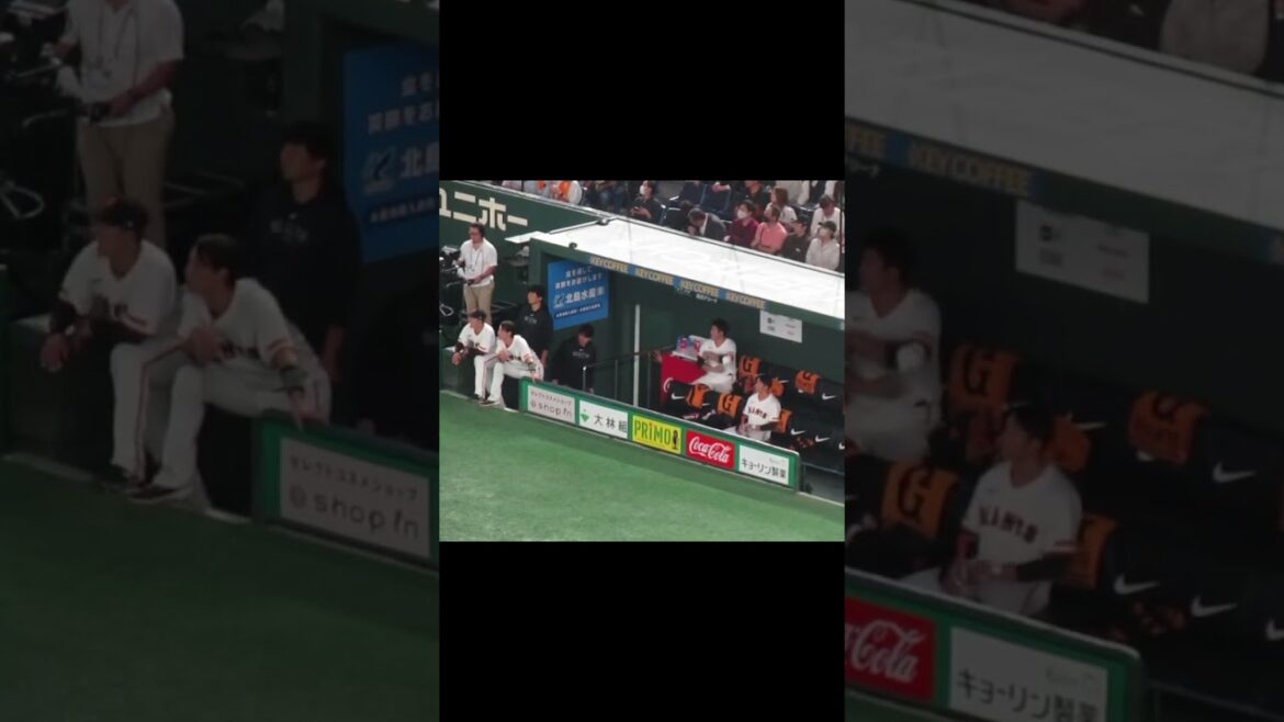 吉川尚輝の二塁打に喜ぶ菅野智之などベンチの様子2024年4月25日 読売ジャイアンツ 対 中日ドラゴンズ
