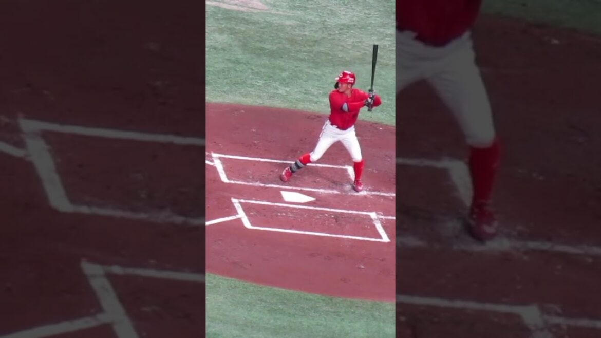 カープ 矢野雅哉の打撃フォーム＜読売ジャイアンツ 対 広島カープ 2024年4月13日＞