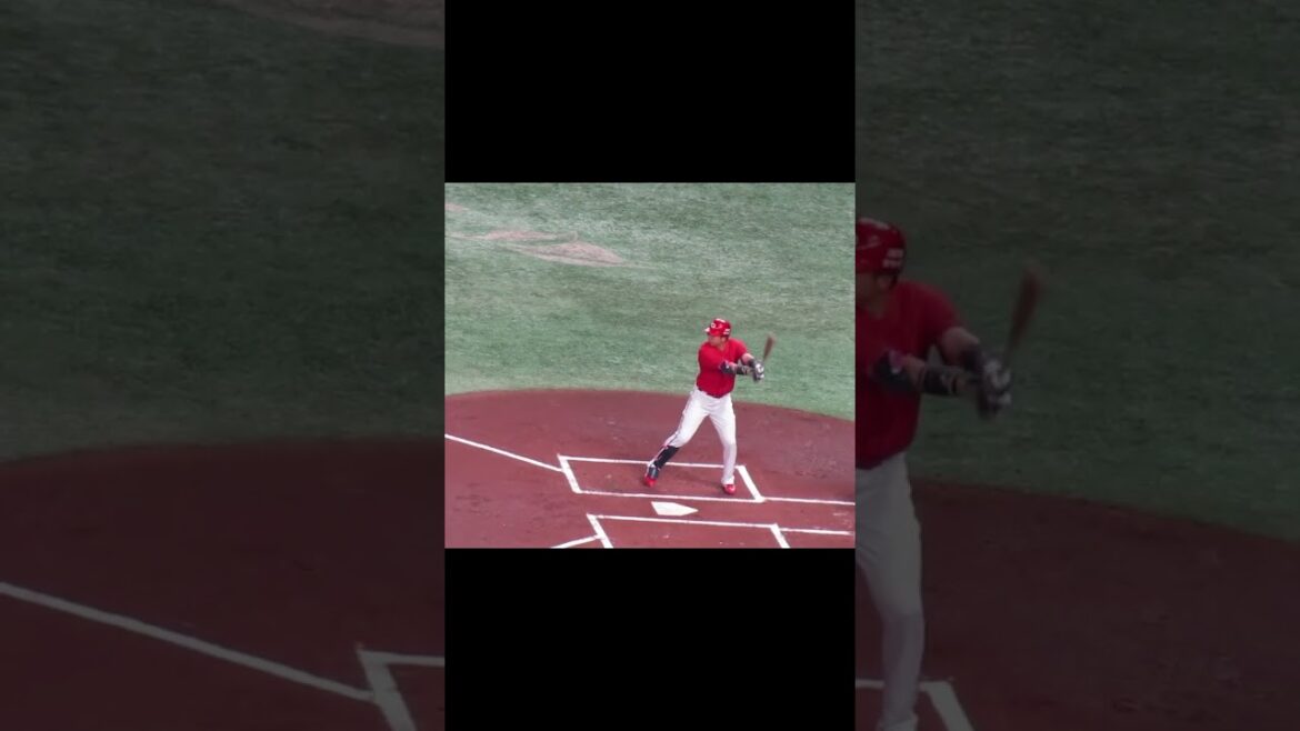 カープ 野間峻祥の打撃フォーム＜読売ジャイアンツ 対 広島カープ 2024年4月13日＞ #野間峻祥