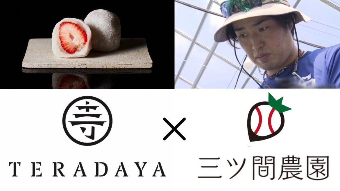 寺田屋×三ツ間農園　苺大福コラボレーション