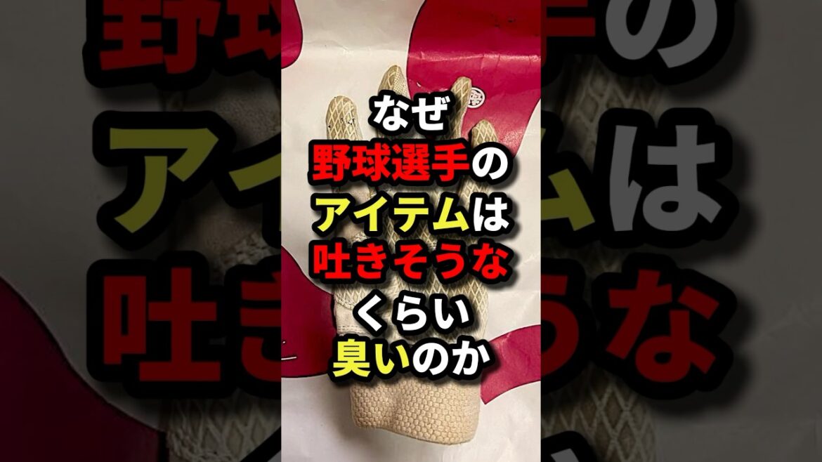 なぜ野球選手のアイテムは吐きそうなくらい臭いのか#プロ野球 #shorts