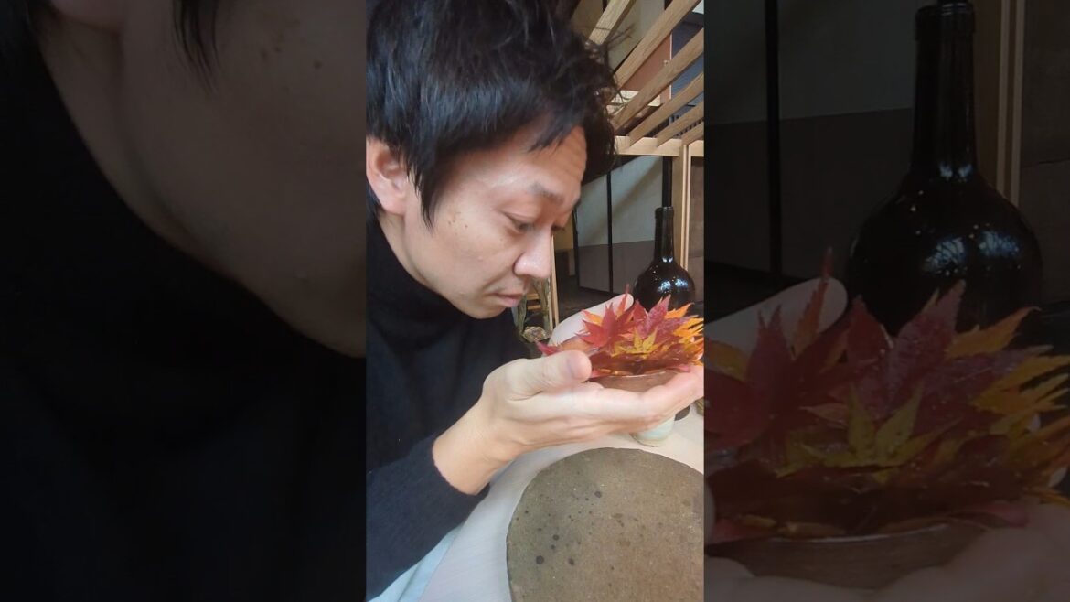 黒アワビ茸 卵黄 燻製かぼちゃ / 山梨県「BEAU PAYSAGE」 TSUGANE LA MONTAGNE 2022 / 松ときのこの出汁 ハスカップレザー(Noma Kyoto 2024) 黒アワビ茸 卵黄 燻製かぼちゃ / 山梨県「BEAU PAYSAGE」 TSUGANE LA MONTAGNE 2022 / 松ときのこの出汁 ハスカップレザー(Noma Kyoto 2024)