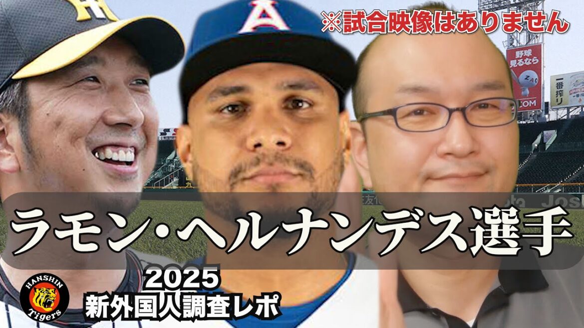 【阪神タイガース】新外国人調査レポ2025 Ramon Hernandez ラモン・ヘルナンデス内野手 阪神 新外国人獲得! メキシカンリーグで活躍もメジャー経験は無し カリブの怪力がセ界で暴れる! 【阪神タイガース】新外国人調査レポ2025 Ramon Hernandez ラモン・ヘルナンデス内野手 阪神 新外国人獲得! メキシカンリーグで活躍もメジャー経験は無し カリブの怪力がセ界で暴れる!