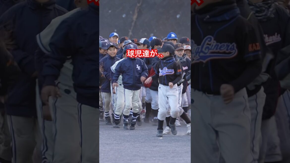 本編はロング動画で↑ #下倉田シャークス #少年野球 #クリーニング #baseball