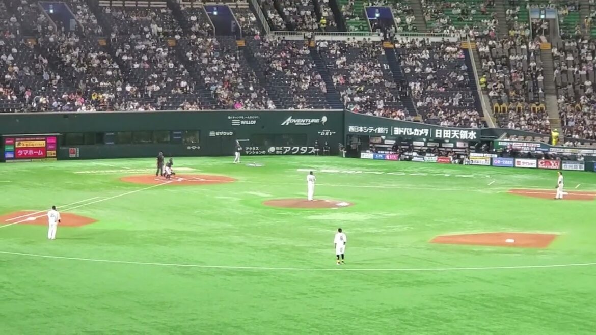 20240419　ｼｭｳﾍｲ♪ｼｭｳﾍｲ♪【福田周平 通常の応援歌(火鑽篇)】　1回表　ｵﾘｯｸｽ･ﾊﾞﾌｧﾛｰｽﾞ@みずほPayPayﾄﾞｰﾑ福岡･外野ﾗｲﾄ