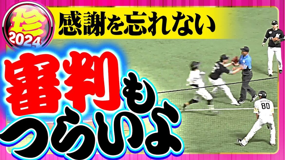 【今年も1年】感謝感謝の審判もつらいよまとめ【お疲れさまでした!!】