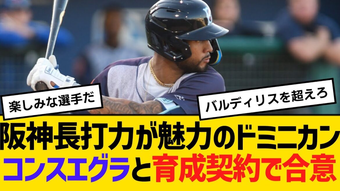 阪神・長打力が魅力のドミニカン！スタンリー・コンスエグラと育成契約で合意「スイングスピードが非常に速い。長打力というのが一番の魅力」【ネットの反応】【反応集】