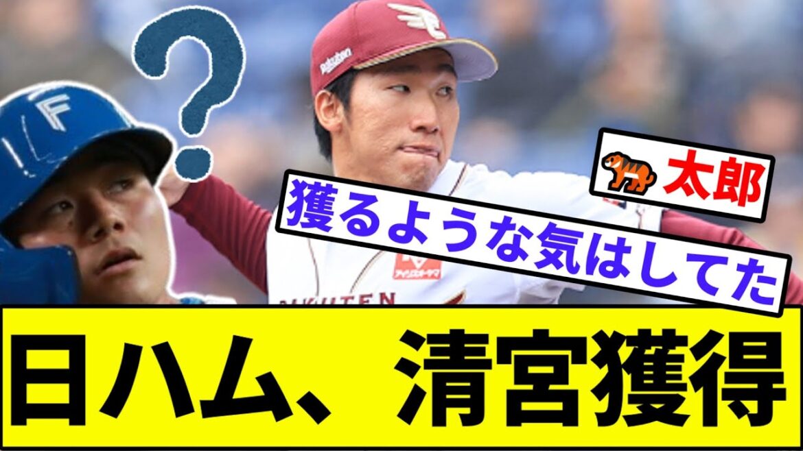 【猛虎魂】日本ハムが楽天戦力外の清宮虎多朗と育成契約【なんJ反応】【なんG反応】【プロ野球反応集】【2chスレ】【5chスレ】【ファイターズ】【FA】【ポスティング】【楽天イーグルス】