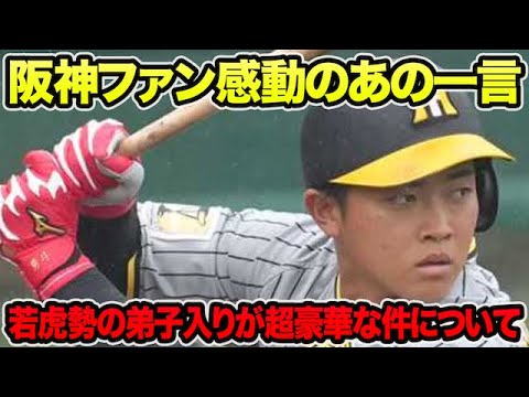 【阪神ファン感動のあの一言..】若虎勢の豪華弟子入りが連続判明した件について!! 首を切られると本音吐露など最新事情を徹底解説【阪神タイガース】 【阪神ファン感動のあの一言..】若虎勢の豪華弟子入りが連続判明した件について!! 首を切られると本音吐露など最新事情を徹底解説【阪神タイガース】