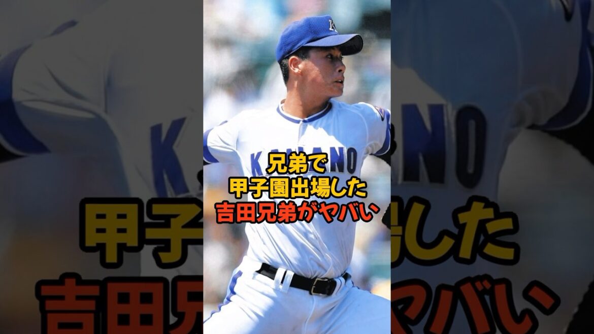兄弟で夏の甲子園に出場した吉田兄弟がヤバい...