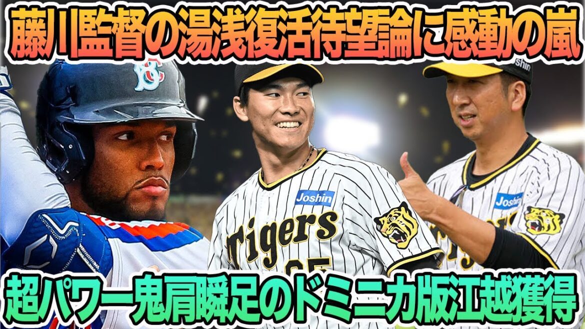 【阪神獲得の超パワー鬼肩俊足の育成外野手がとてつもなくやばそうな件について】藤川監督の湯浅復活待望論に感動の嵐  　阪神タイガース　阪神
