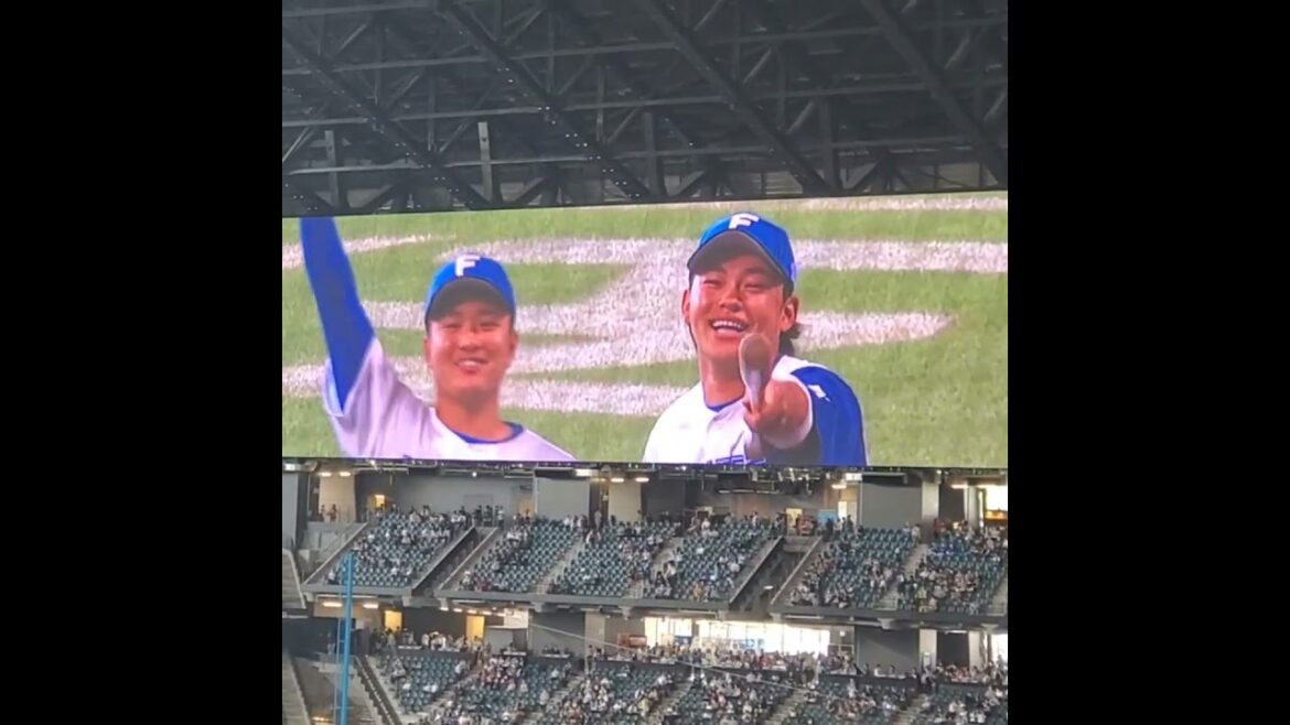 20240601　ﾋﾞｼﾞｮﾝに反応する奈良間大己　田宮裕涼@ｴｽｺﾝﾌｨｰﾙﾄﾞHOKKAIDO･内野3塁側 日本生命ｾ･ﾊﾟ交流戦