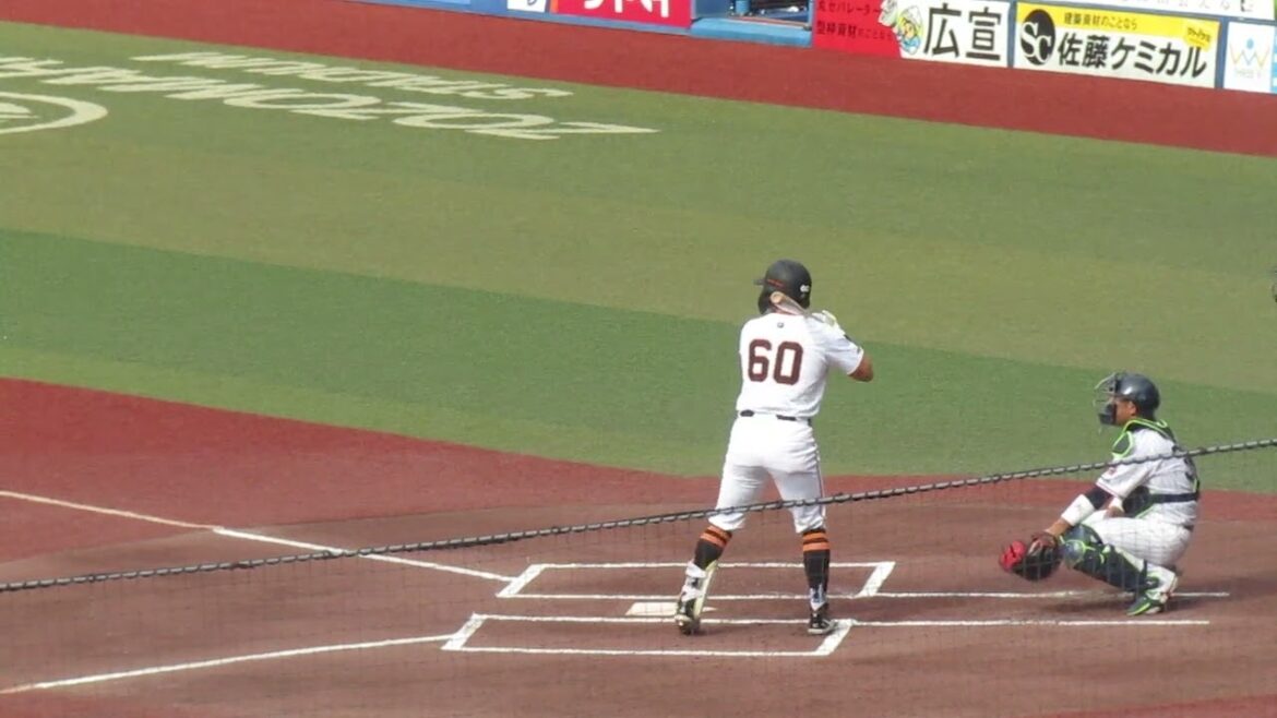 トライアウト〜三振に倒れる巨人 菊田拡和（2024年11月14日 プロ野球合同トライアウト ）