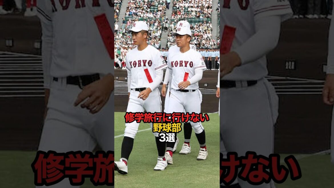 修学旅行に行けない野球部 3選#sports #shorts #高校野球 #野球 #やきゅスト