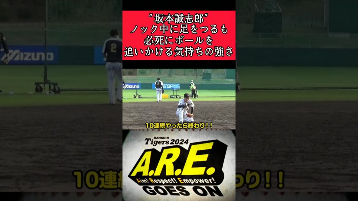 【阪神】"坂本誠志郎"足がつるまでノックを受け続ける！ #阪神 #阪神タイガース #坂本誠志郎 #shorts