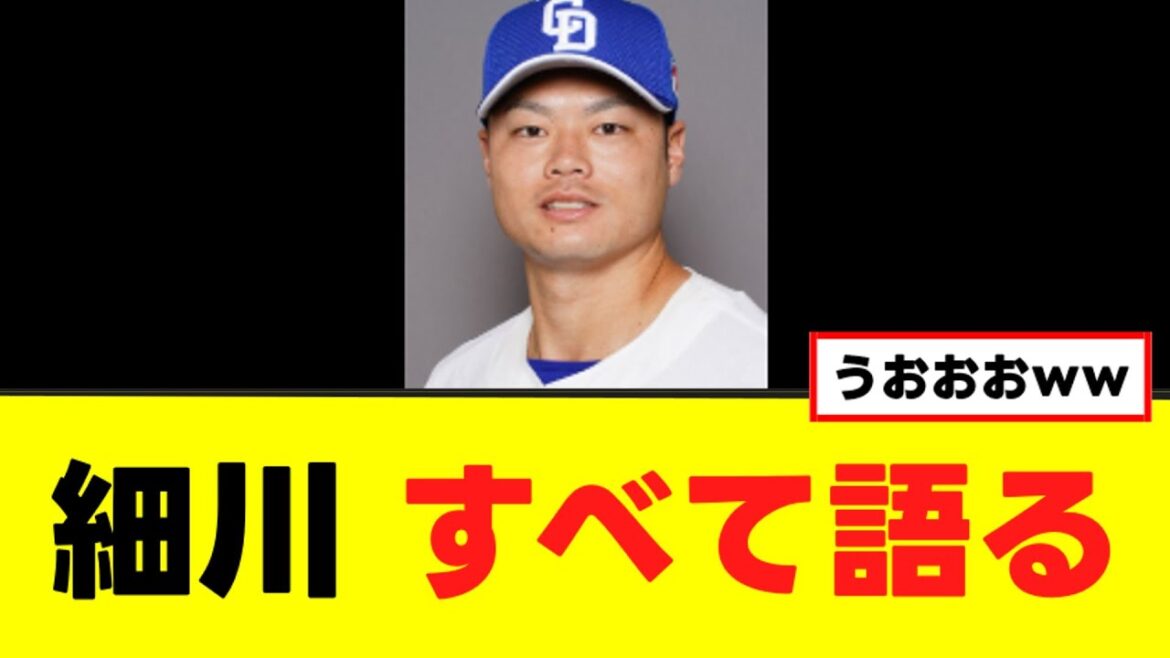 【細川成也】ベイで覚醒できなかった真相をすべて語るww