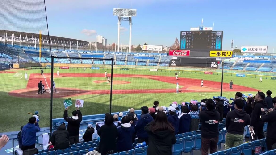 北海道日本ハムファイターズ 杉谷拳士 左打席応援歌【NPBジュニアトーナメント2024】