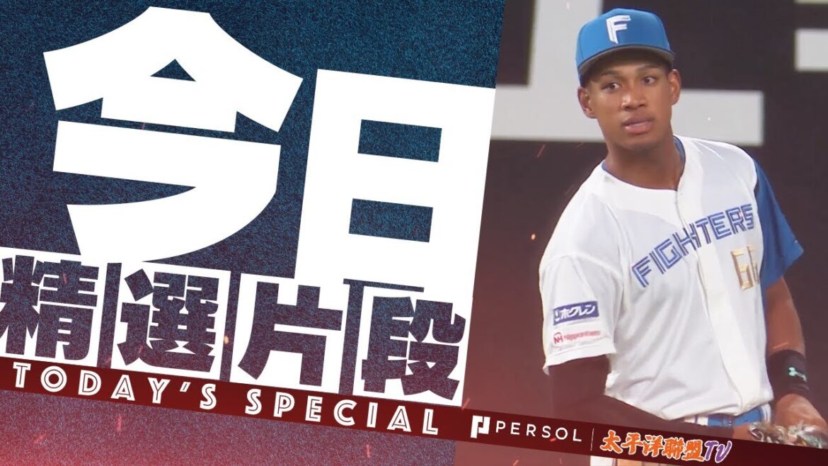 【年度金手套獎】北海道日本火腿・萬波中正 好PLAY合集【外野手部門】