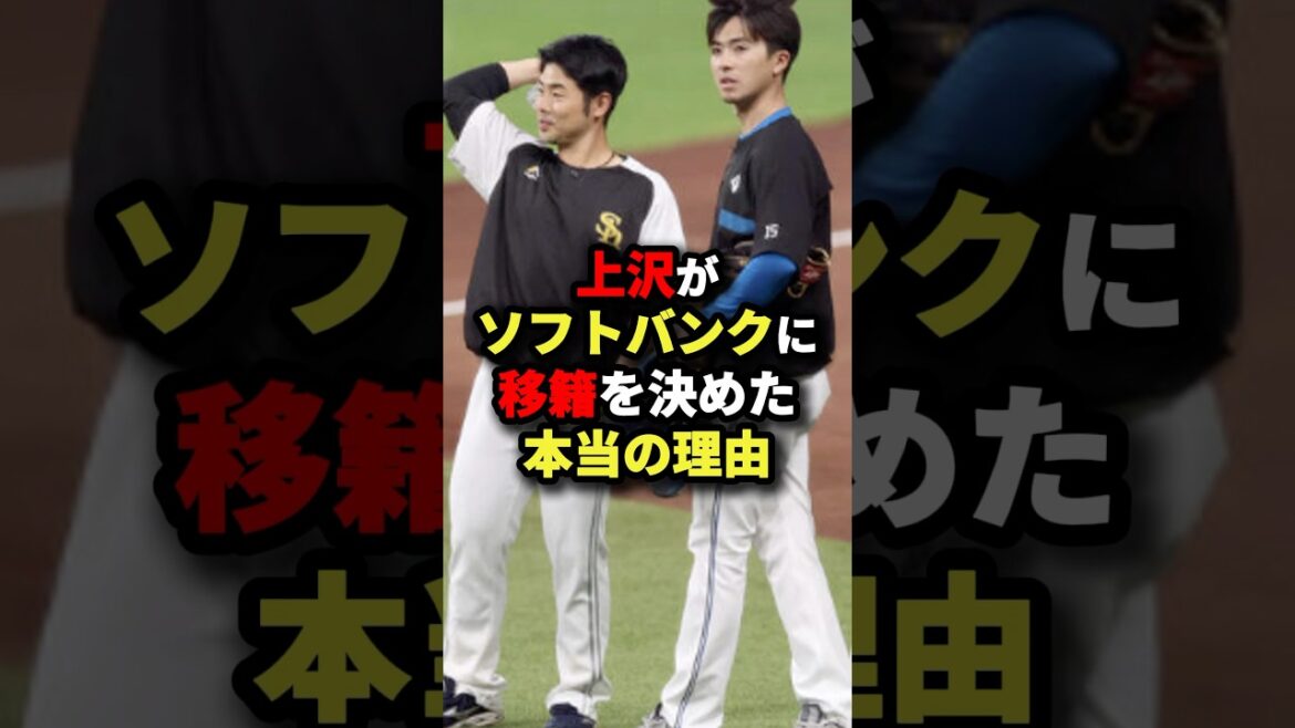 上沢がソフトバンクに移籍を決めた本当の理由#プロ野球 #shorts