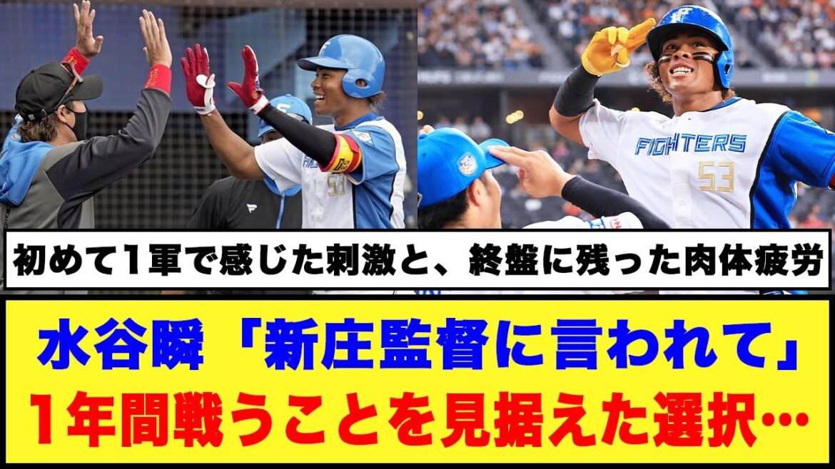 水谷瞬「新庄監督に言われて」1年間戦うことを見据えた選択…#日本ハムファイターズ #水谷瞬 #新庄監督
