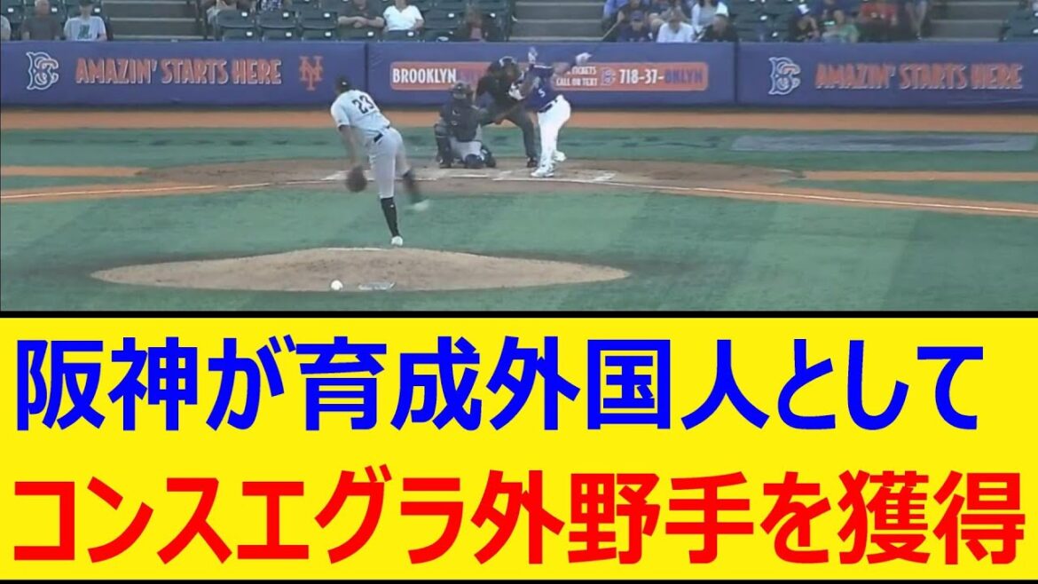 阪神が育成外国人としてコンスエグラ外野手を獲得【プロ野球、なんj、なんg反応】【野球、2ch、5chまとめ】【阪神タイガース、MLB、メジャー、大リーグ、新外国人、助っ人】 阪神が育成外国人としてコンスエグラ外野手を獲得【プロ野球、なんj、なんg反応】【野球、2ch、5chまとめ】【阪神タイガース、MLB、メジャー、大リーグ、新外国人、助っ人】
