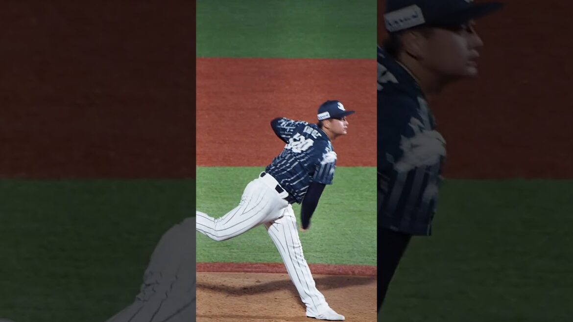 2024.08.03 横浜DeNA-埼玉西武(横須賀スタジアム) 井上広輝 投球シーン #seibulions #プロ野球 2024.08.03 横浜DeNA-埼玉西武(横須賀スタジアム) 井上広輝 投球シーン #seibulions #プロ野球