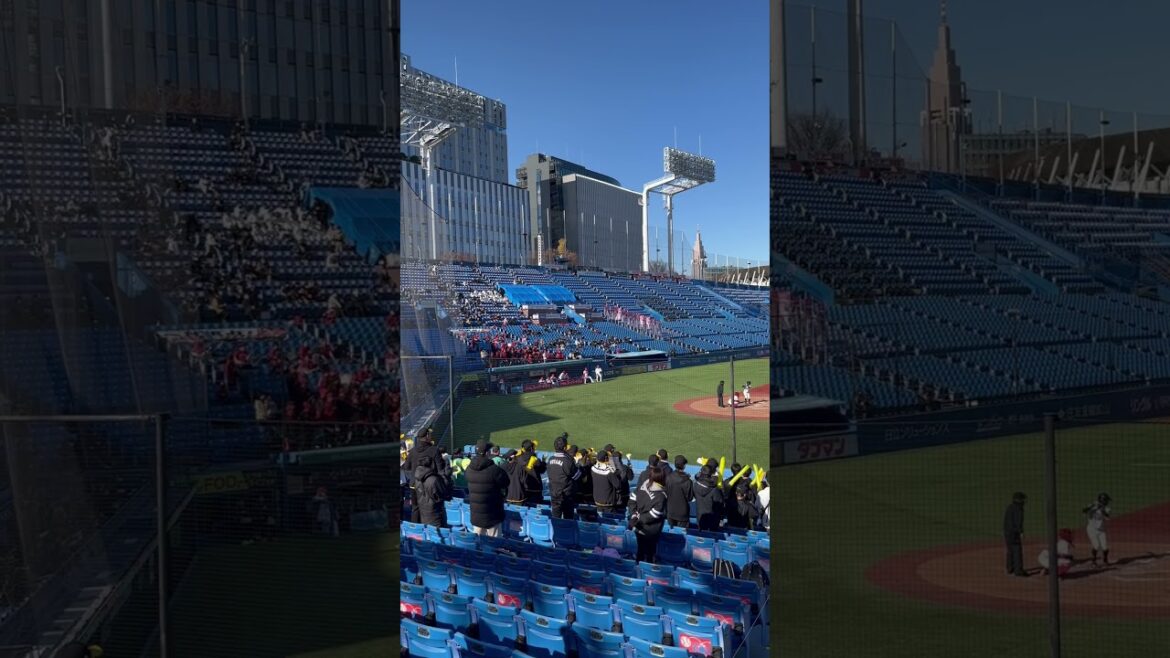 福岡ソフトバンクホークス 上林誠知 応援歌【NPBジュニアトーナメント2024】