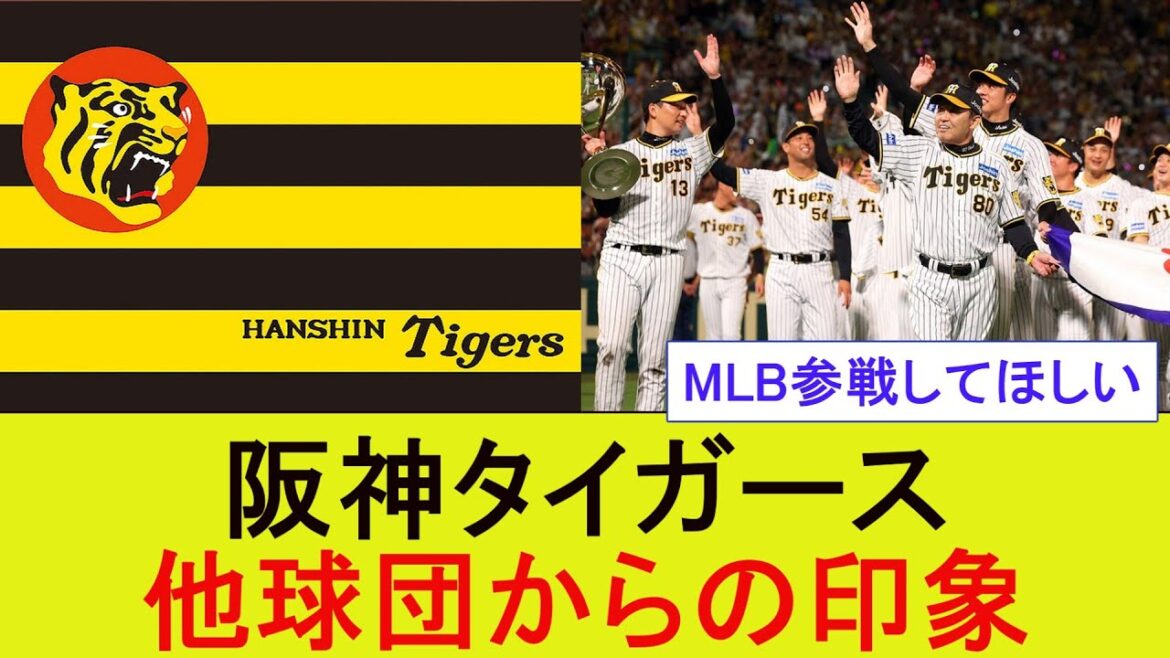 阪神タイガース　他球団からの印象【プロ野球】【なんJ/2ｃｈ/5ｃｈ/反応/まとめ】