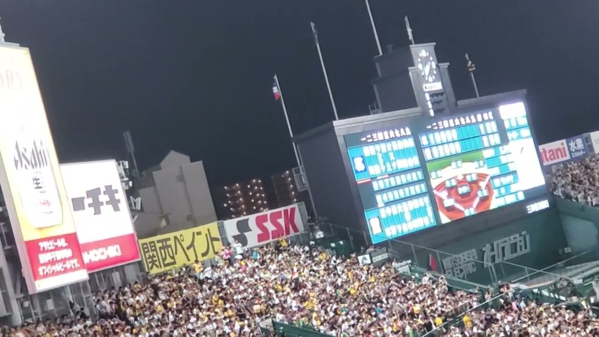 20240915　錨を上げて♪【ﾄﾞﾐﾝｺﾞ･ｻﾝﾀﾅ 応援歌】　6回表　東京ﾔｸﾙﾄｽﾜﾛｰｽﾞ@阪神甲子園球場･ﾚﾌﾄ外野