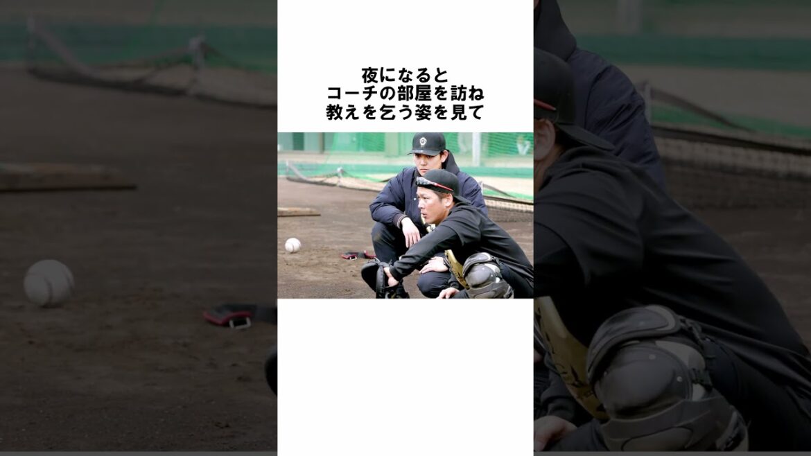 『育成の甲斐拓也とドラ1の山下斐紹』に関する雑学 #野球解説 #雑学 #甲斐拓也 #shorts #山下斐紹 #野球雑学 『育成の甲斐拓也とドラ1の山下斐紹』に関する雑学 #野球解説 #雑学 #甲斐拓也 #shorts #山下斐紹 #野球雑学