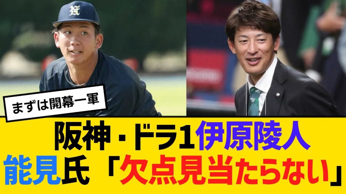 阪神・ドラ1伊原陵人、能見氏「欠点見当たらない」　【ネットの反応】【反応集】