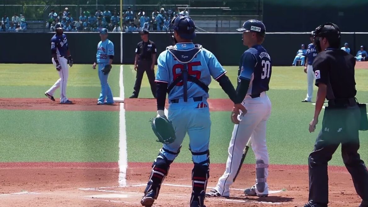 2024.05.25 東京ヤクルト-埼玉西武(ヤクルト戸田) 元山飛優 打席シーン