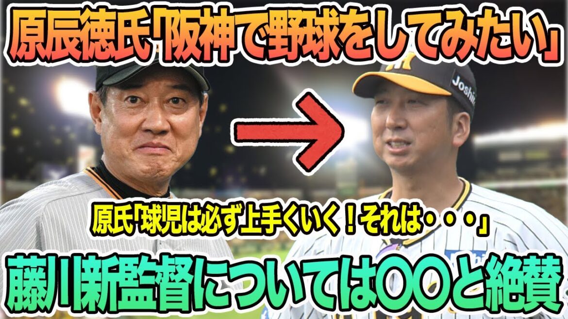 【原辰徳氏「阪神で野球をしてみたい」原氏「球児は必ず上手くいく、それは・・・」】 藤川新監督については〇〇を絶賛 阪神タイガース 阪神 青柳晃洋 【原辰徳氏「阪神で野球をしてみたい」原氏「球児は必ず上手くいく、それは・・・」】 藤川新監督については〇〇を絶賛 阪神タイガース 阪神 青柳晃洋