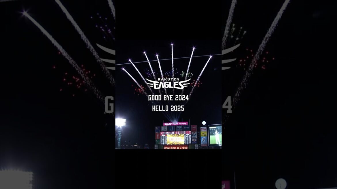 GOOD BYE 2024, HELLO 2025⚾️